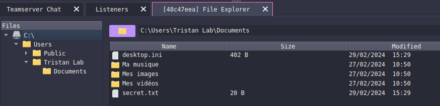 Cette fonctionnalité permet d'explorer les fichiers